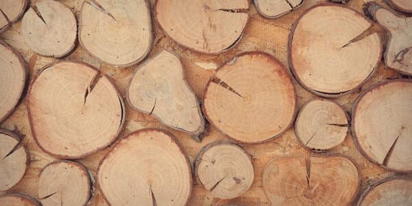wood