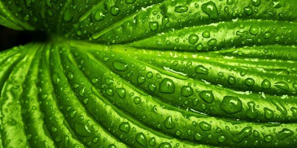 waterproof5