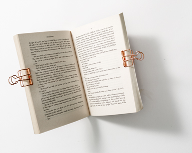 novel