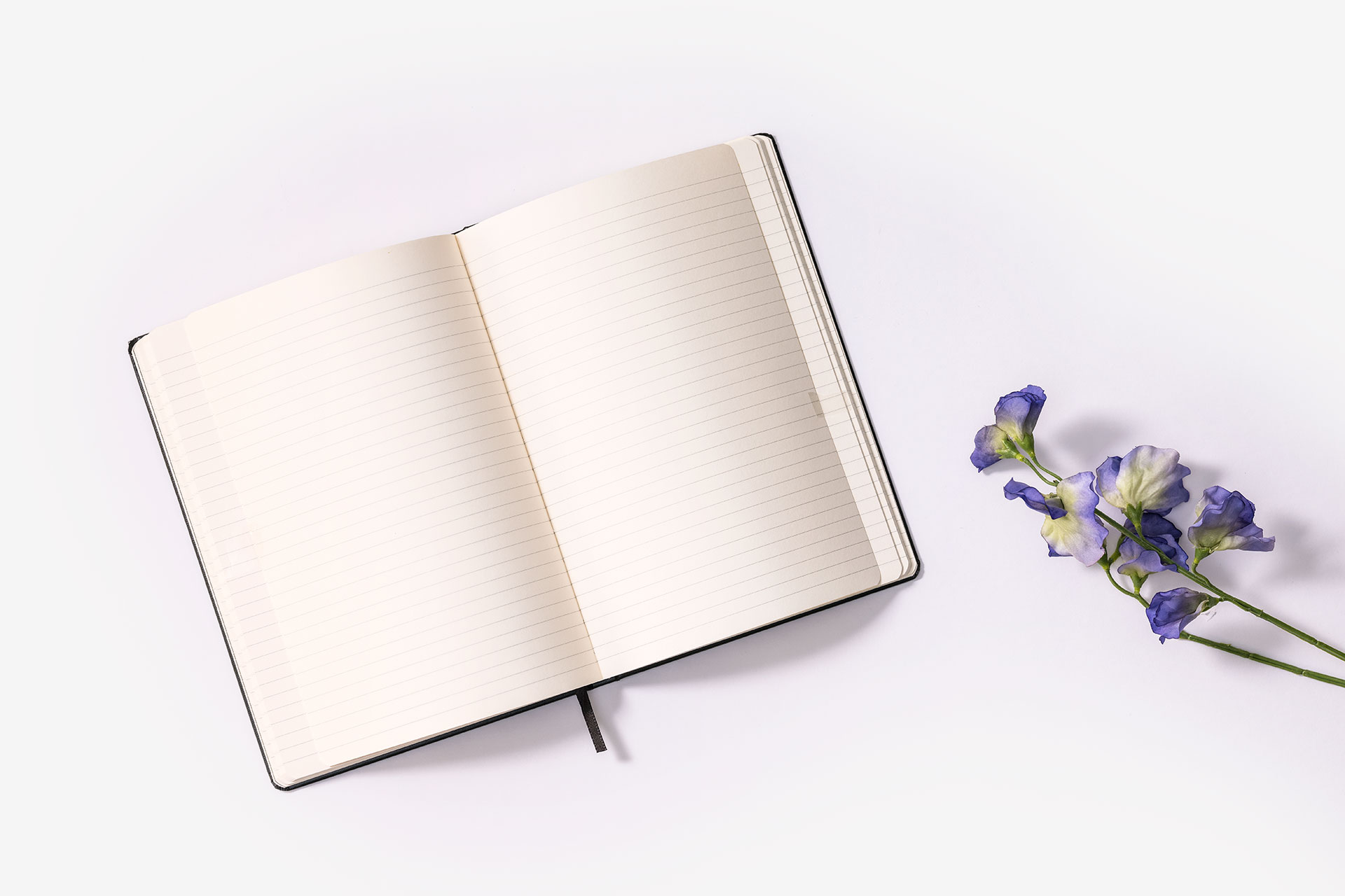 World Health Organisation Vegan Leather Notebooks