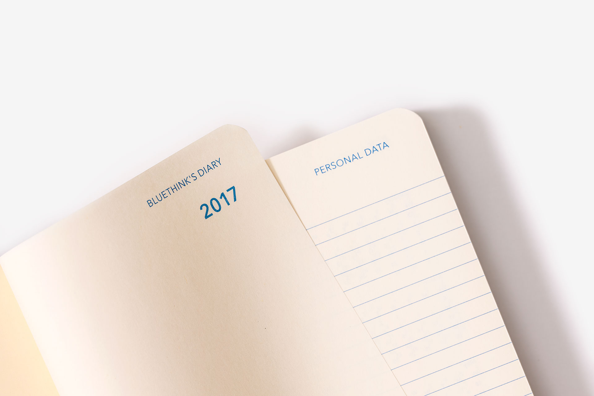 Bluethink Bonded Leather Diaries