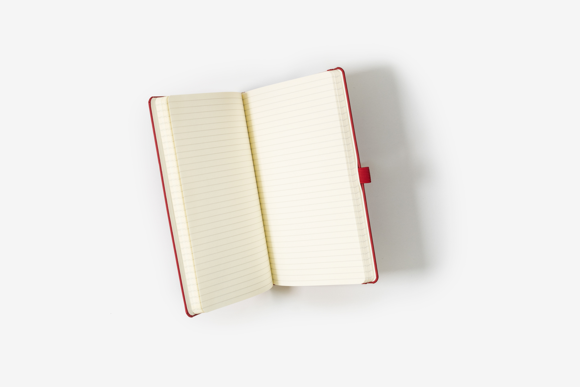 Willow Debossed Castelli Notebooks