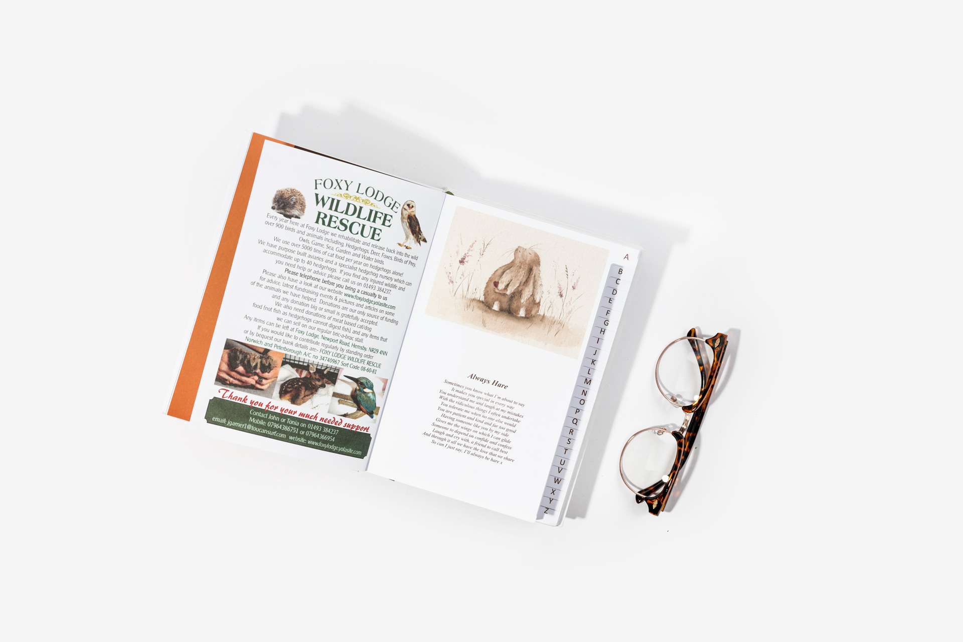 Love Country Indexed Diaries