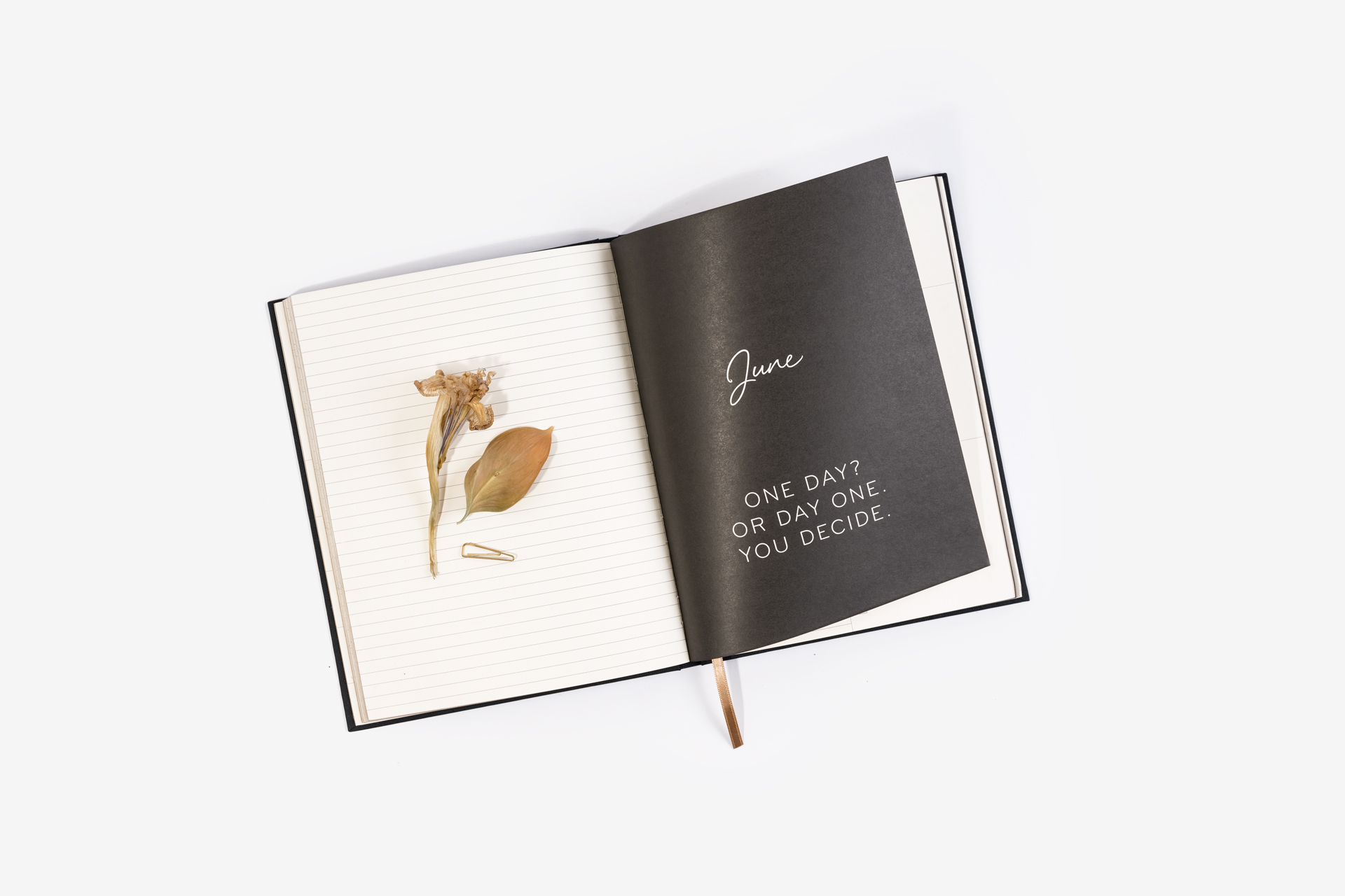 Wrinkle and Crease Bespoke Diaries