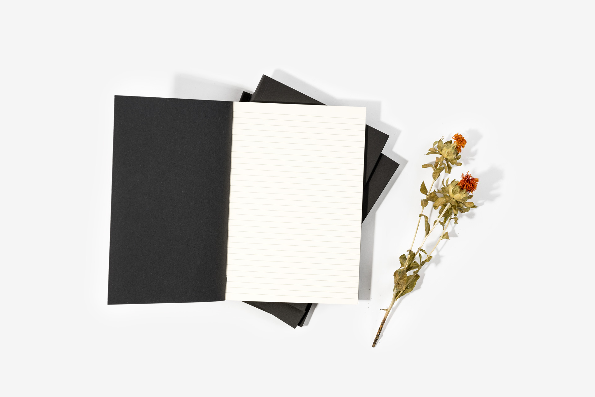 Game of Thrones Foiled Notebooks