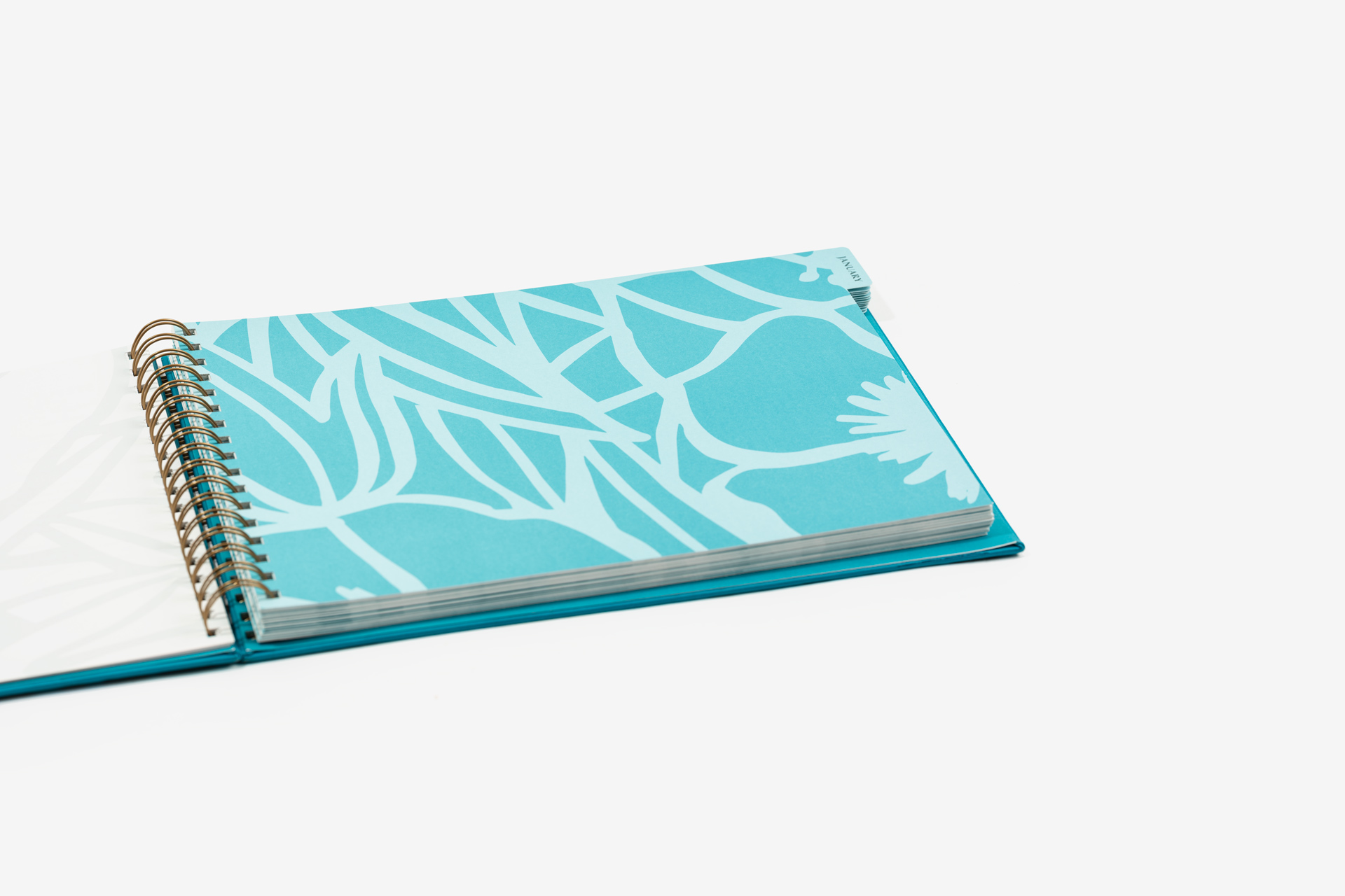 Social Media Ringbound Planner