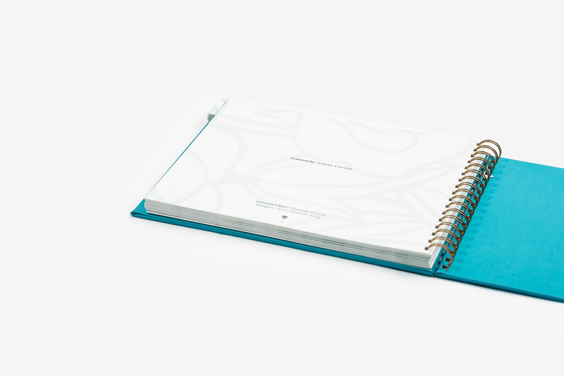 Social Media Ringbound Planner
