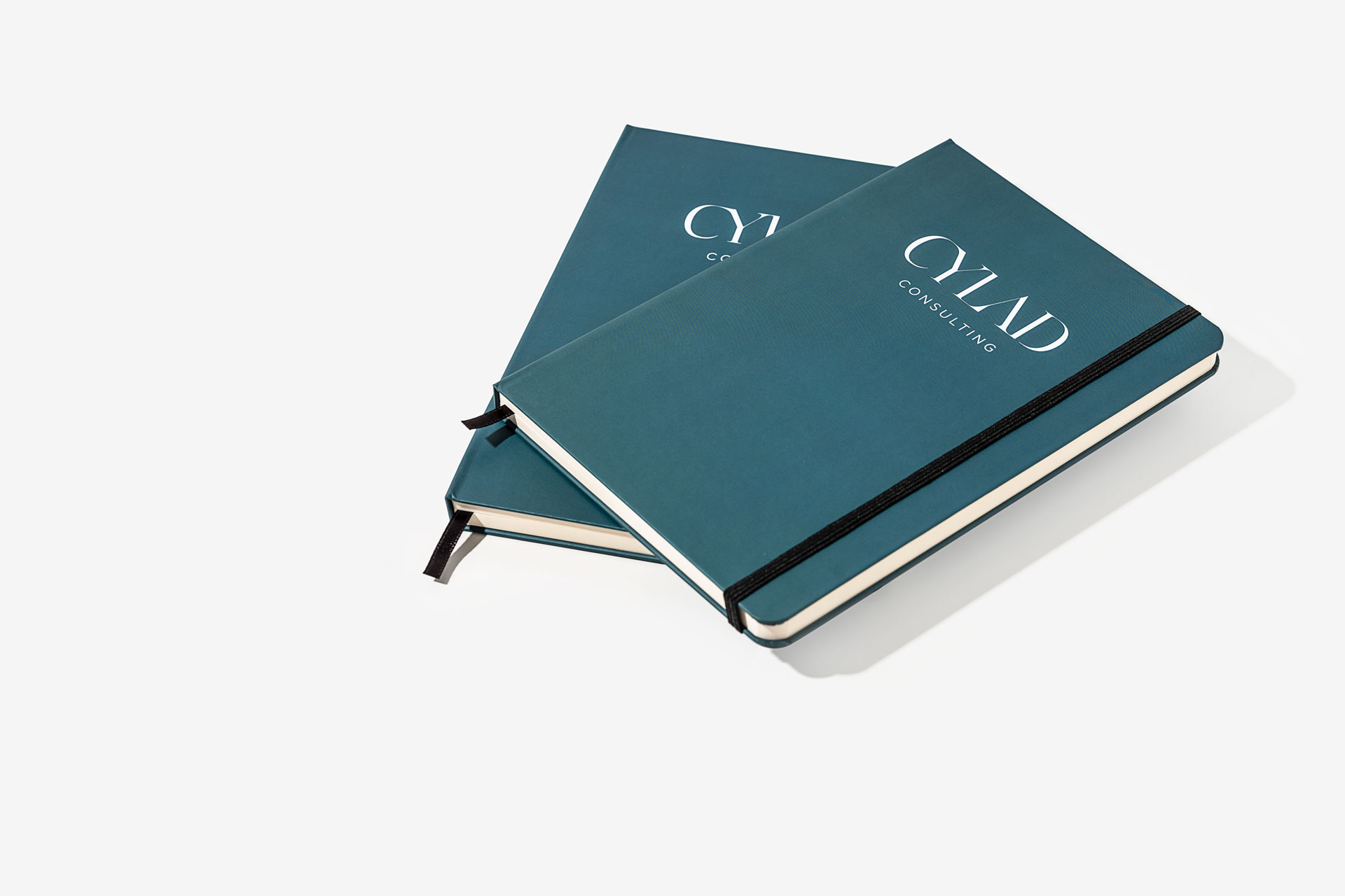 CYLAD Consulting Notebooks