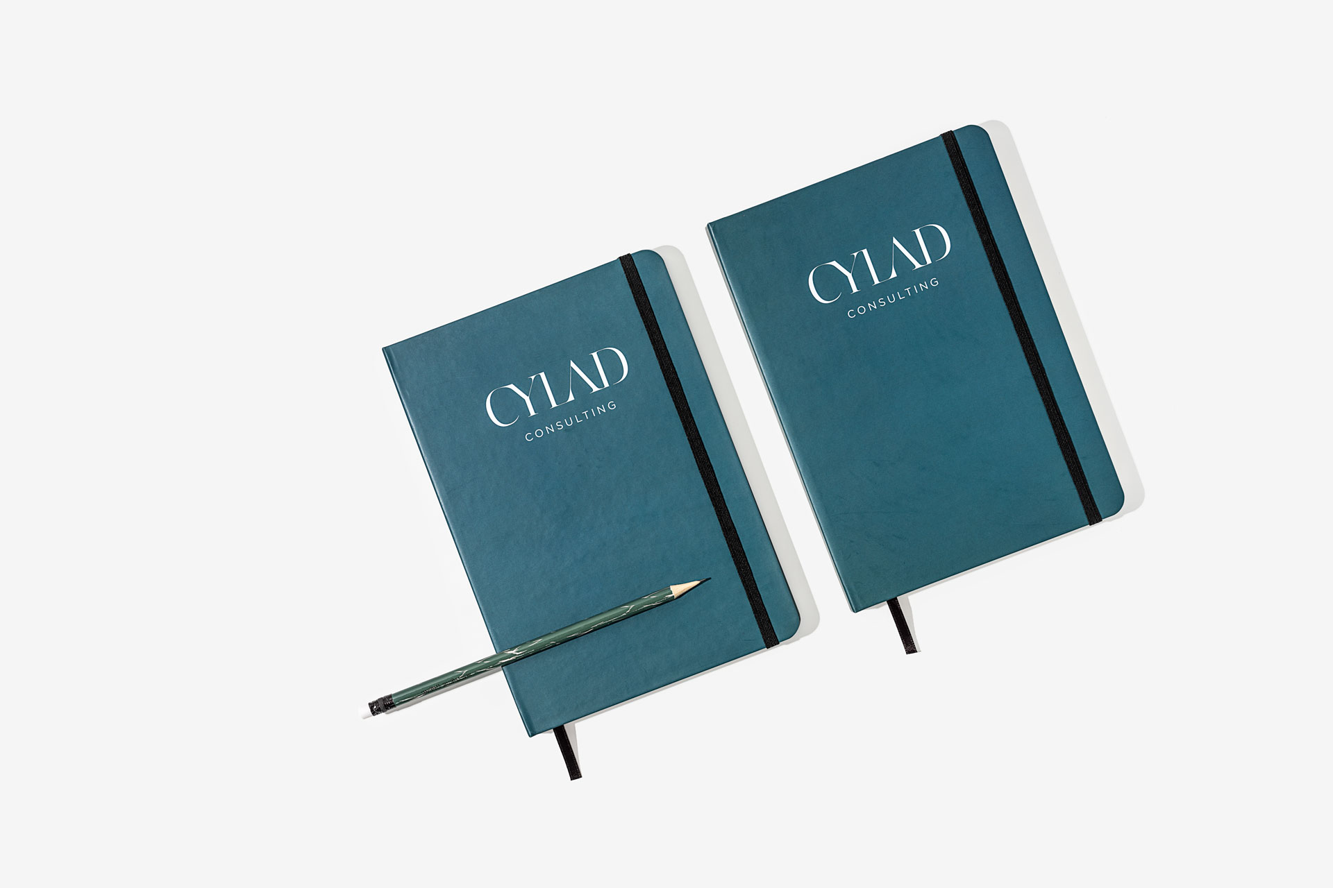 CYLAD Consulting Notebooks