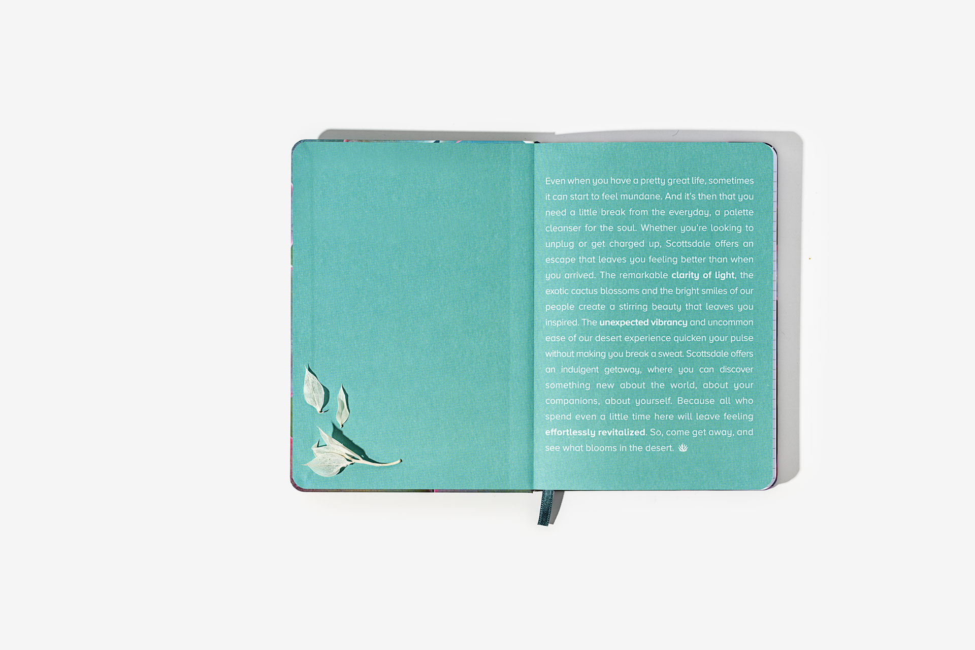 Scottsdale Arizona Notebooks