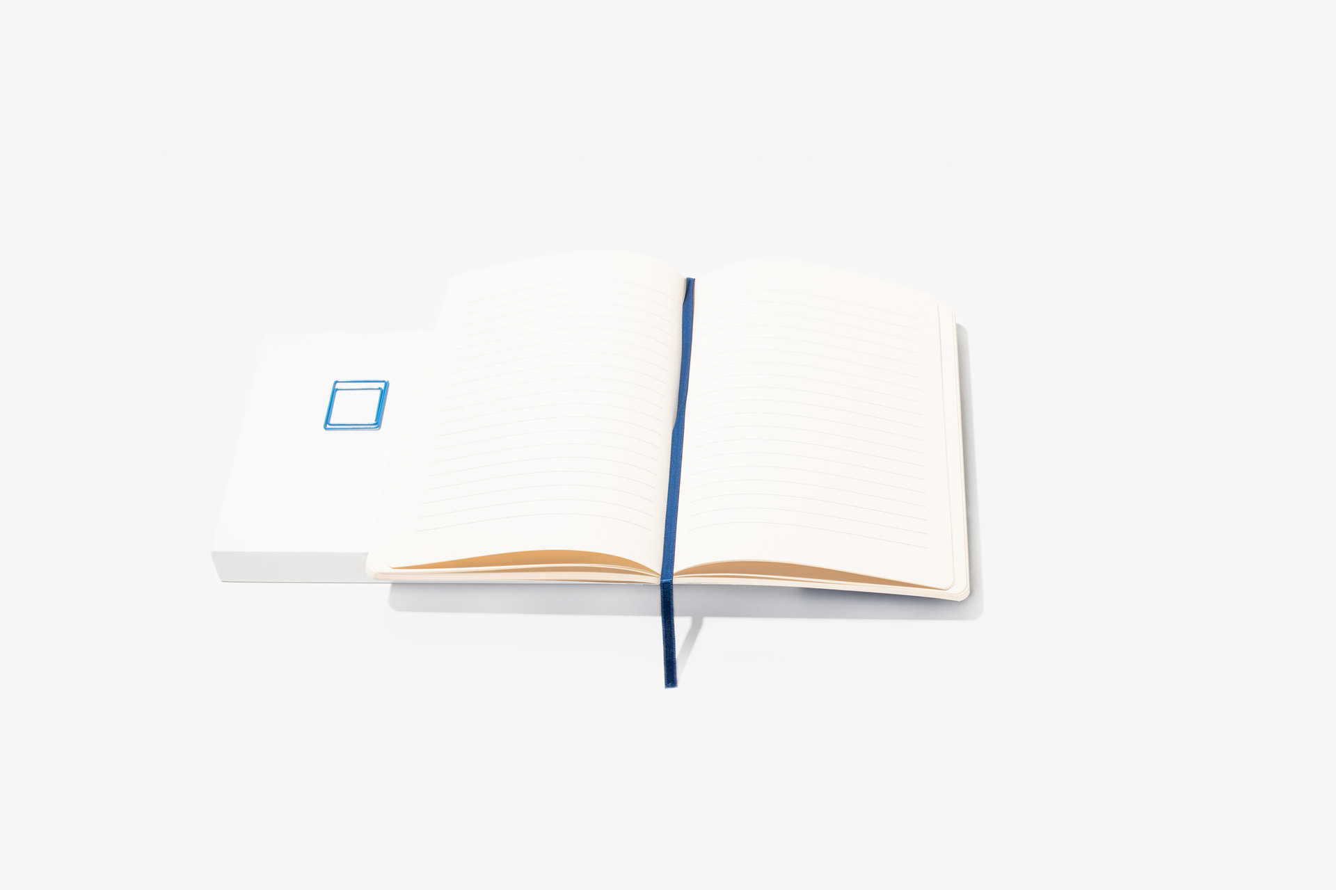 Pepsico Halfbound Notebooks