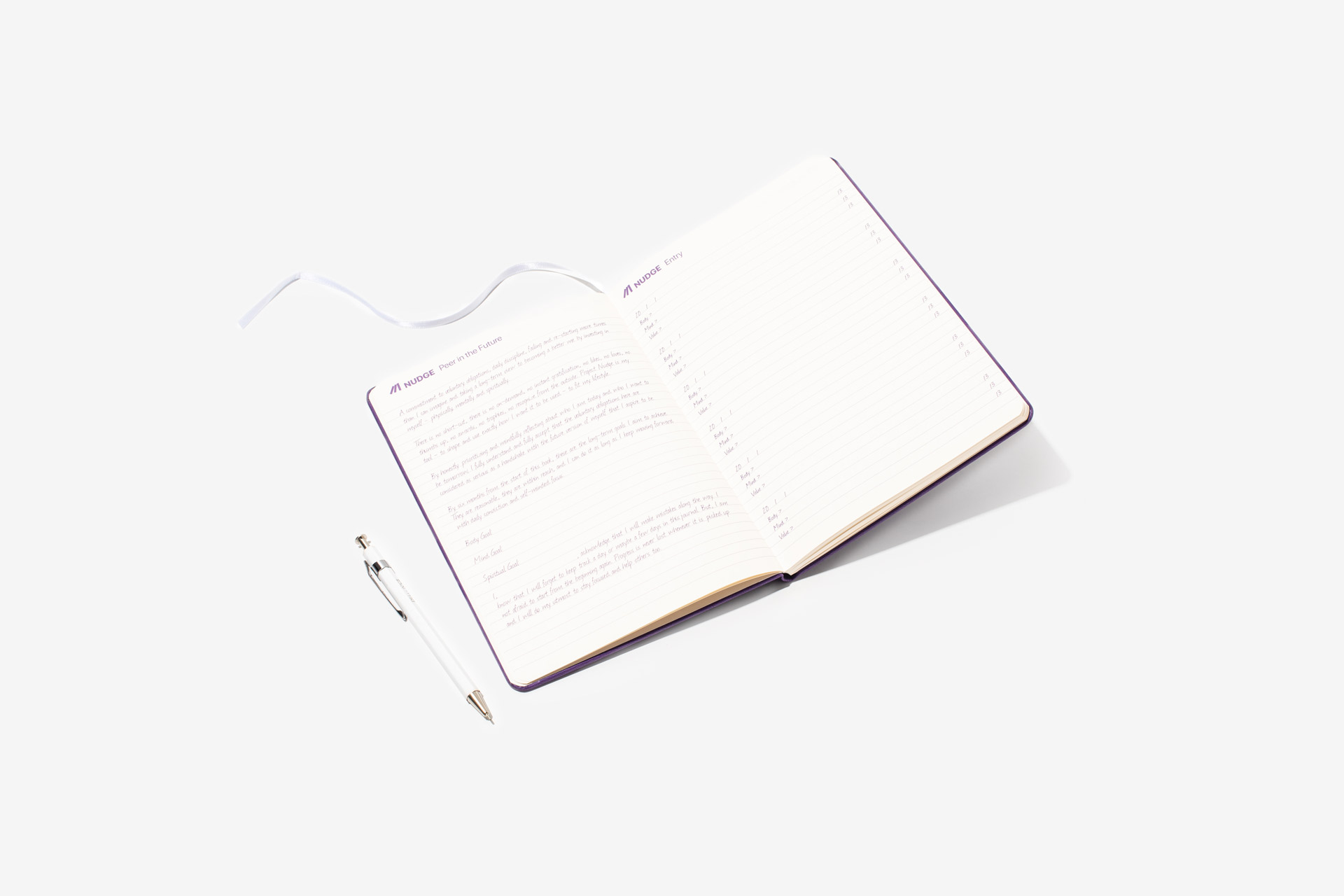 NuCB Nudge Notebooks