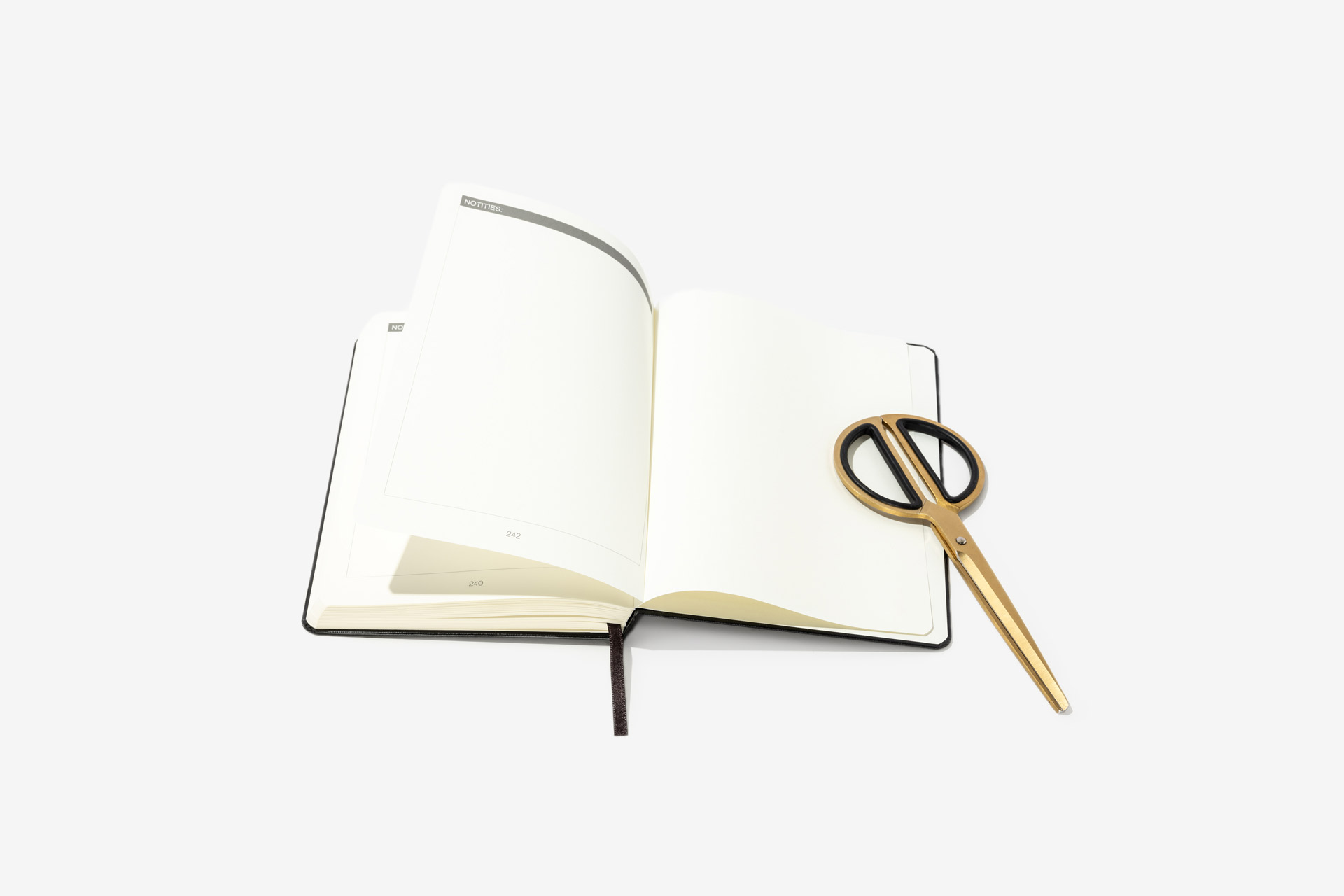 Projec Hemera Foiled Notebooks