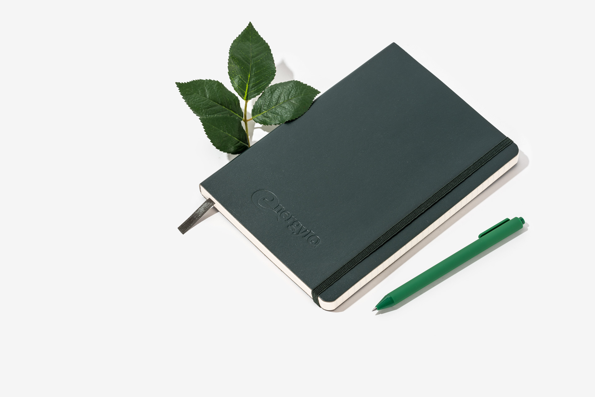 EnergyIQ Leather Notebooks