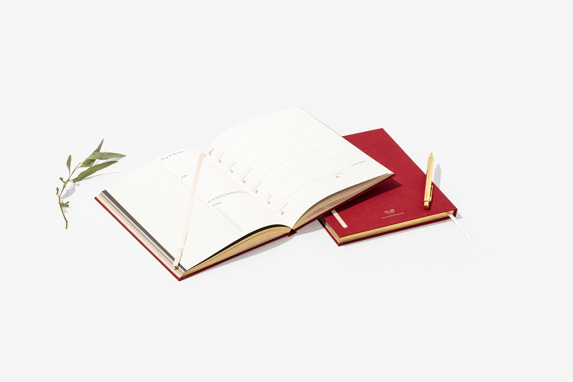 Wrinkle + Crease 2019 Diary
