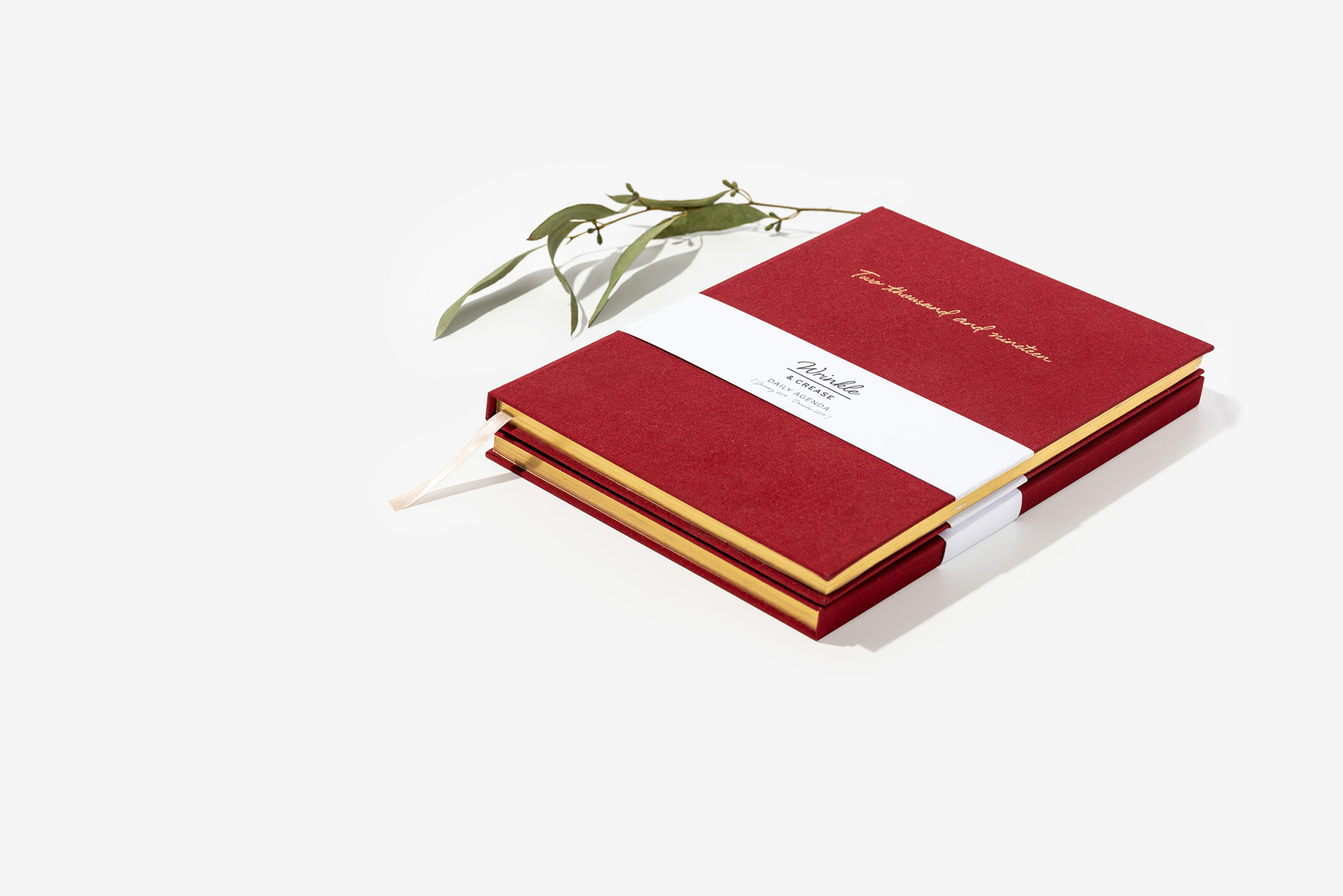 Wrinkle + Crease 2019 Diary