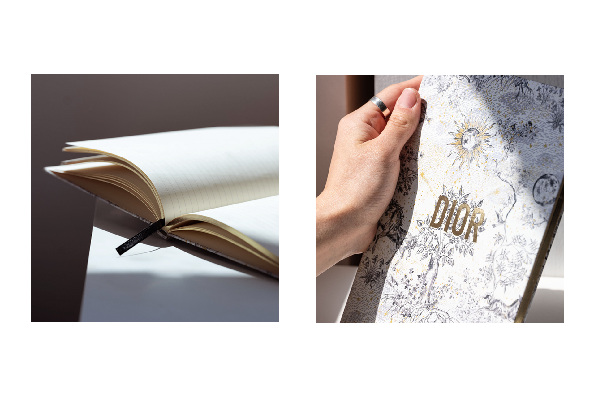 Dior Custom Printed and Foiled Notebooks